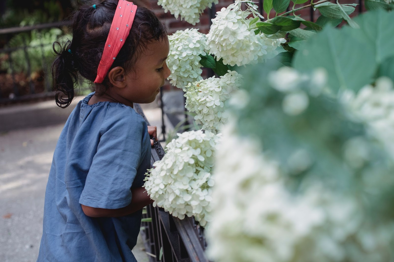 kid viewing white flower