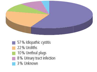 Conditions responsible for the clinical signs of lower urinary tract disease in european cats