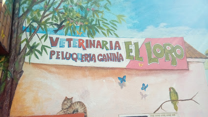 Veterinaria Peluqueria Canina El Loro