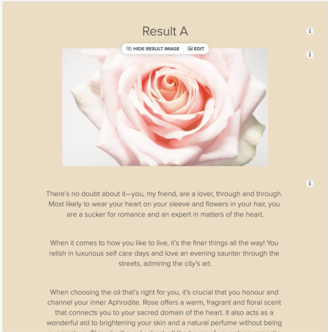 Example of a results page with Result title, image, and description