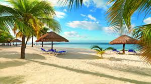 Image result for beautiful pics of beaches