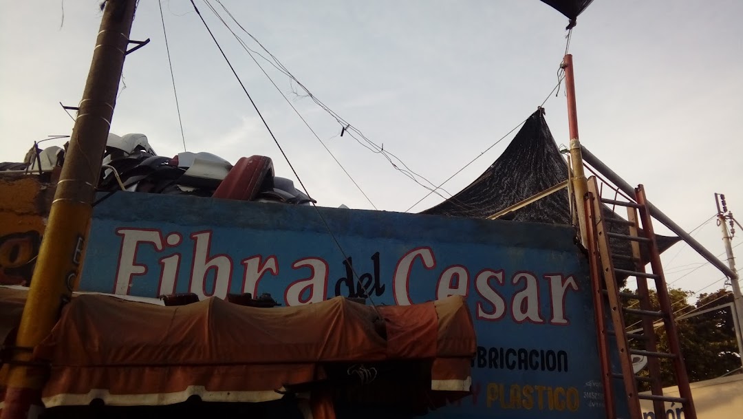 Fibras Del Cesar