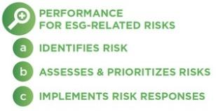 This chart identifies some steps you can take to overcome the risks associated with ESG goals.