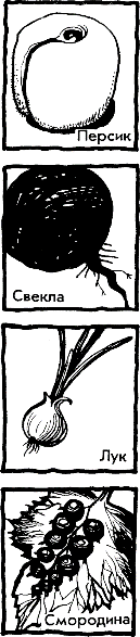 https://lh3.googleusercontent.com/I0gBE5E7-jKv7GrCe7QtOMkVkEMegLc2_WVKGpx_7HsA7mUkcbkl3A0RUVVaEjZSZOzKJCJ5b56wzK6vV47w3KKO0wnDjcRHupFsEhk8AAYkxDw-VwTj6ksekhXzDkN230yc1_WCQ5wDgvALWx5cv9ng5fQrDzOHVWD9ilawRGedA-YIRF4A8kmUeUgZIOFgJg01zBwoNQ