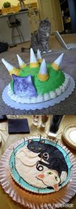 Cats get special birthday cake on their birthday and their reactions are too hilarious and adorable! - Content4Mix