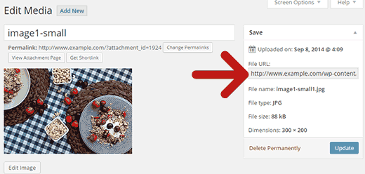 Copiando o URL do arquivo de imagem no WordPress