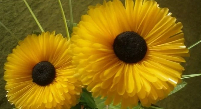 Membuat Bunga Matahari dari Sedotan Plastik Kuning
