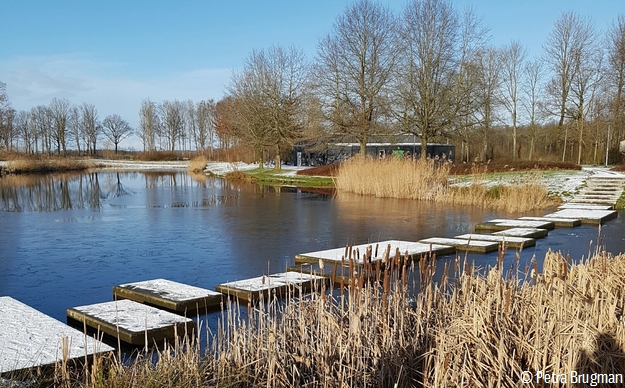 Afbeelding zonder bijschrift