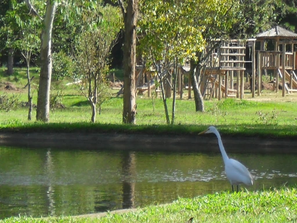 parque poços.jpg