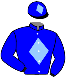 A picture containing text, vector graphics

Description automatically generated