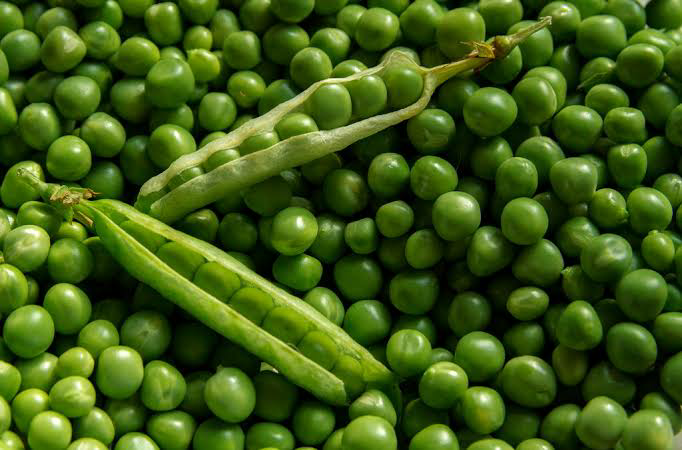 Green Peas - Protein Rich Vegetable
