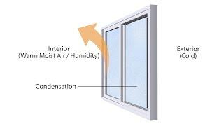 How to Reduce Interior Condensation on Your Windows | Anlin Windows & Doors  - YouTube