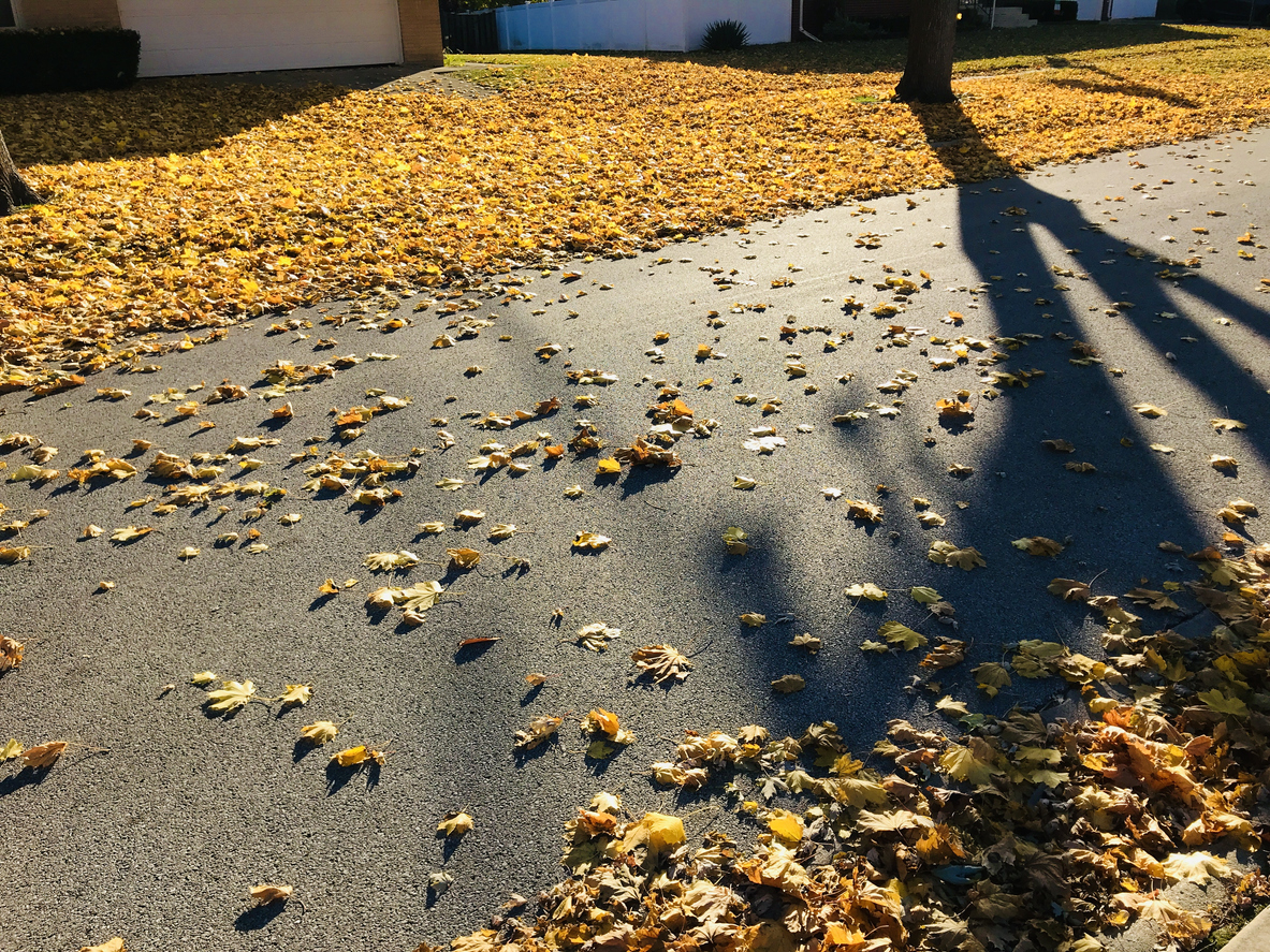 5 Easy Service Tips to Prepare Your Car for Fall | Uncategorized