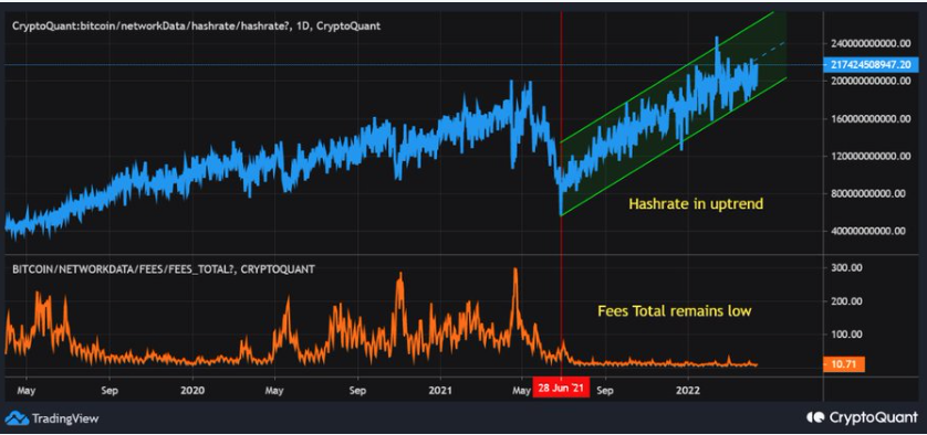 อัตราแรงขุด Bitcoin จาก CryptoQuant