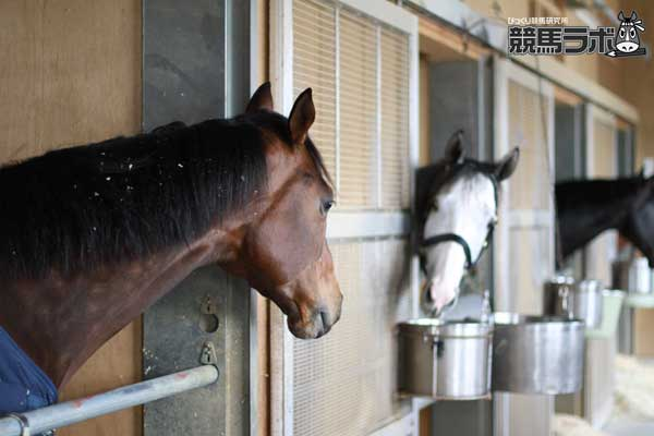 ジャスタウェイ 世界最強の爆弾 Ashita