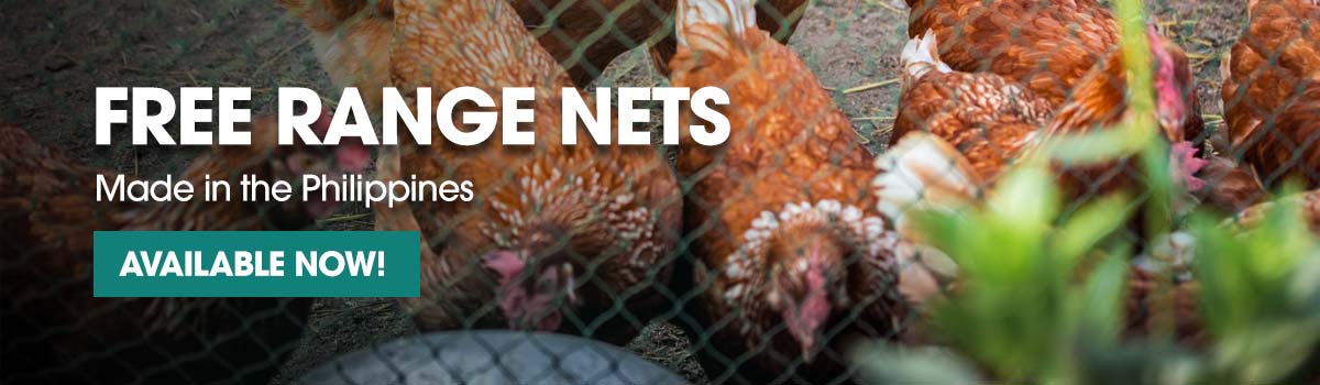 Free-range chicken farming