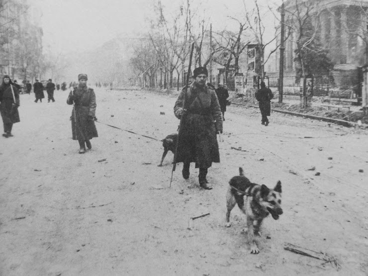 Советские саперы с собаками минно-розыскной службы на Музейном бульваре Будапешт 1945