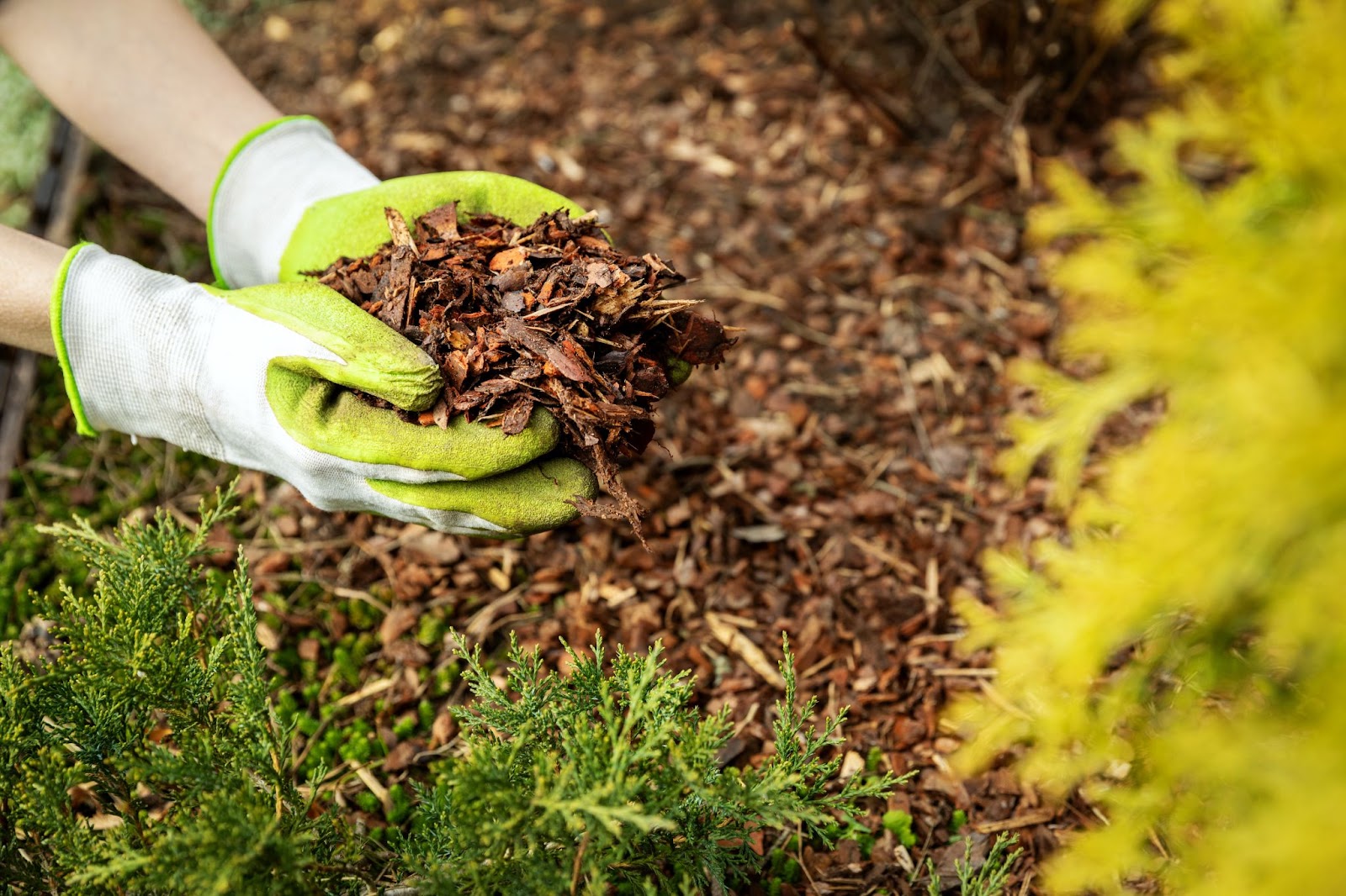 Fresh mulch can help a yard look well kept as your home is being shown to buyers.