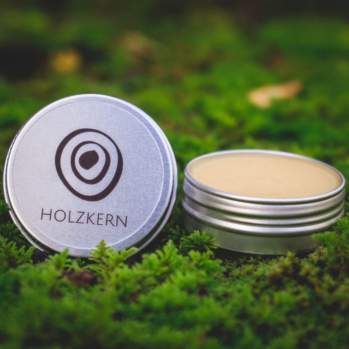 Holzkern (Überblick)