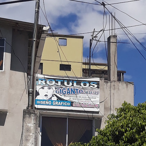 Opiniones de Giganto Grafias en Quito - Diseñador gráfico