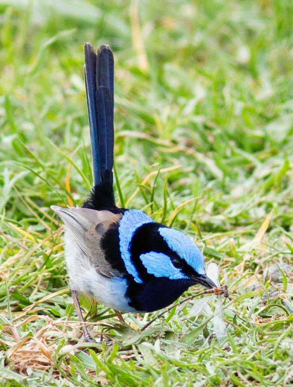 oGPdWdwvVcI3i9im2O2poR_qC1nBilkln9F46yx0dSw=w587-h776-no