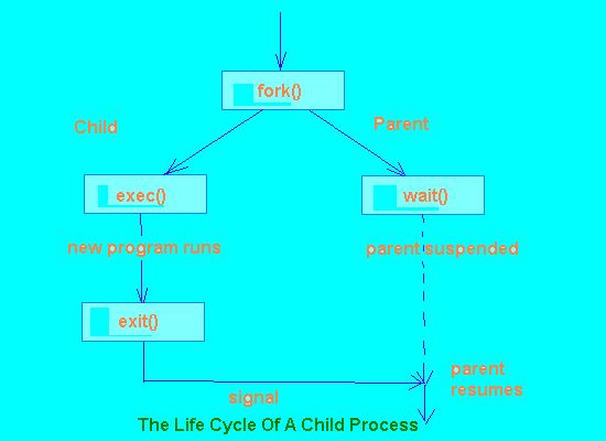 Diagram, schematic

Description automatically generated