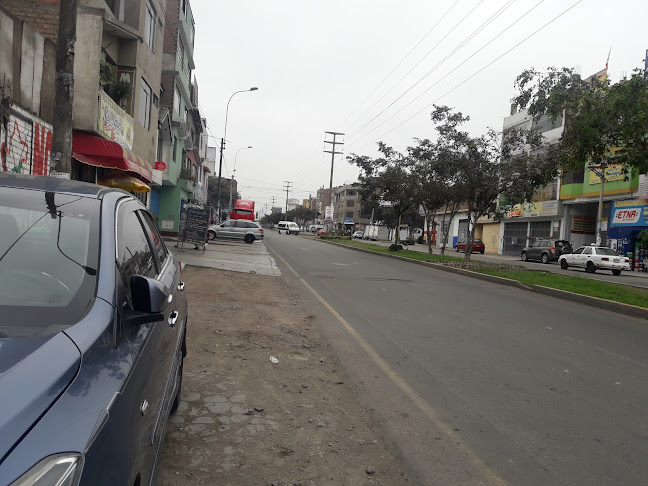 COLEGIO DE TRABAJADORES SOCIALES DEL PERU - Santa Anita