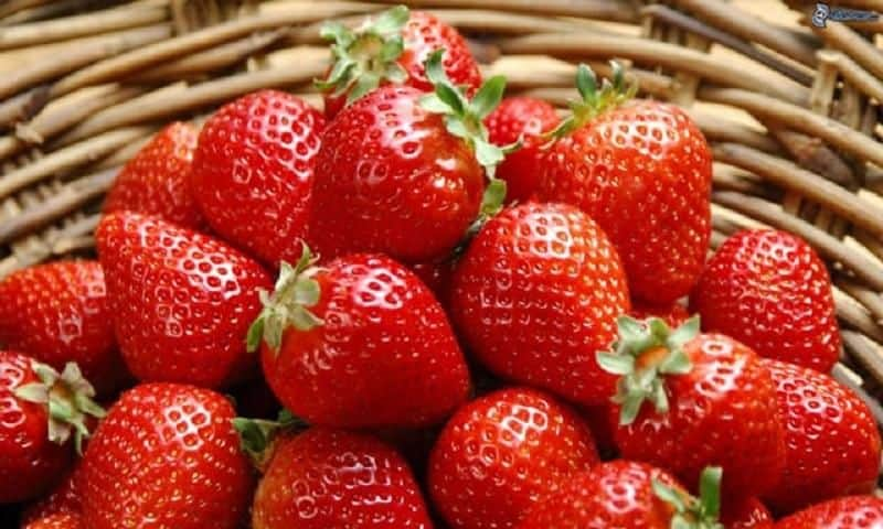 Dâu tây là loại trái cây nổi tiếng và là đặc sản Đà Lạt