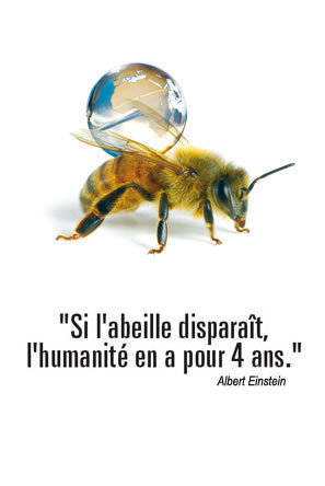 La Disparition des Abeilles