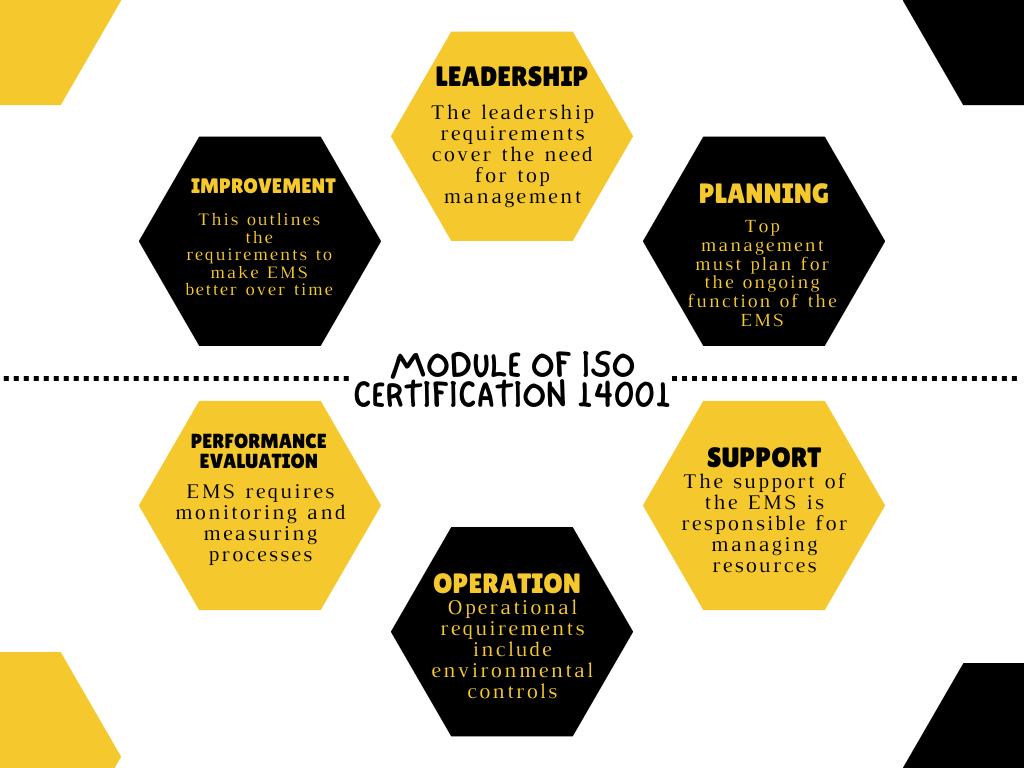 Black and Yellow Six Step Process Concept Graph.png