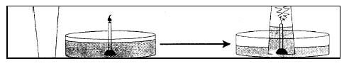                                                                                   Figura 9

Esta observación plantea una pregunta interesante: ¿Por qué sube el agua en el interior del vaso?
Una explicación posible es la siguiente: la llama convierte el oxígeno en dióxido de carbono. Como el oxigeno no se disuelve rápidamente en el agua, mientras que el dióxido de carbono sí que lo hace, el dióxido de carbono generado se disuelve rápidamente en el agua y hace que disminuya la presión que ejerce el aire dentro del vaso.

Supón que tienes todos los materiales mencionados en el experimento, también dispones de cerillas y de hielo seco (el hielo seco es dióxido de carbono congelado). Usando alguno o todos estos materiales, ¿Cómo comprobarías esta explicación?
