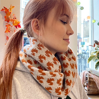 woman wearing knit cowl with squirrel colorwork