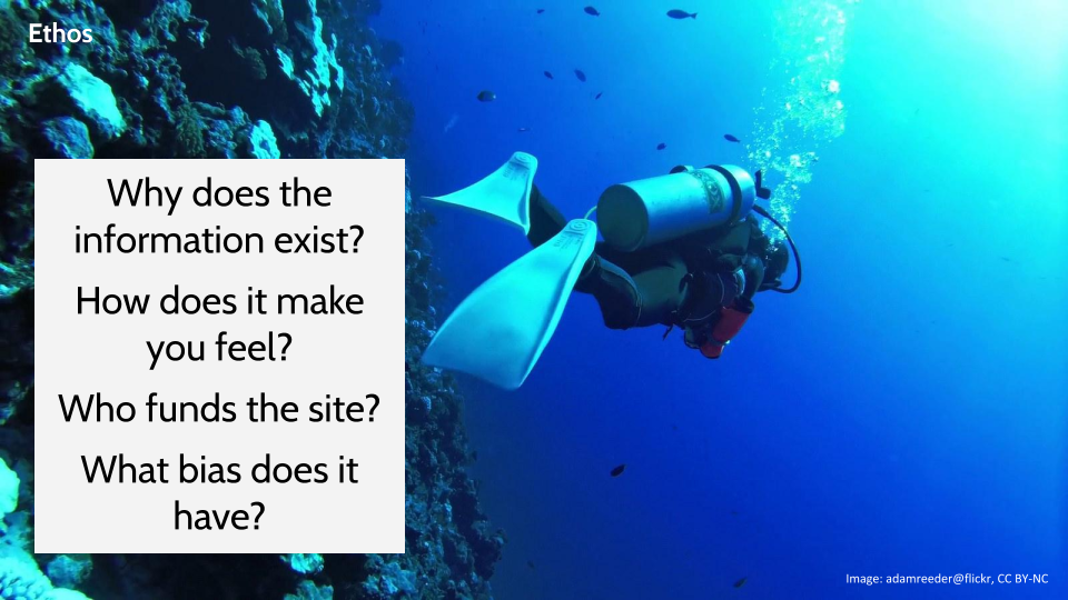 Image of a diver next to a reef with the questions: Why does the information exist? How does it make you feel? Who funds the site? What bias does it have?