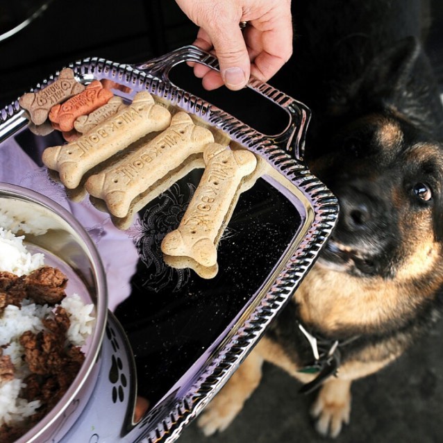 Photo by Morrison Restaurant in Morrison Atwater Village. May be an image of dog and food.