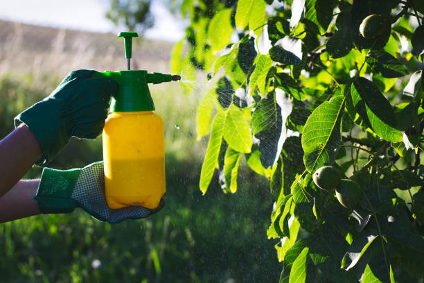 How does Roundup work