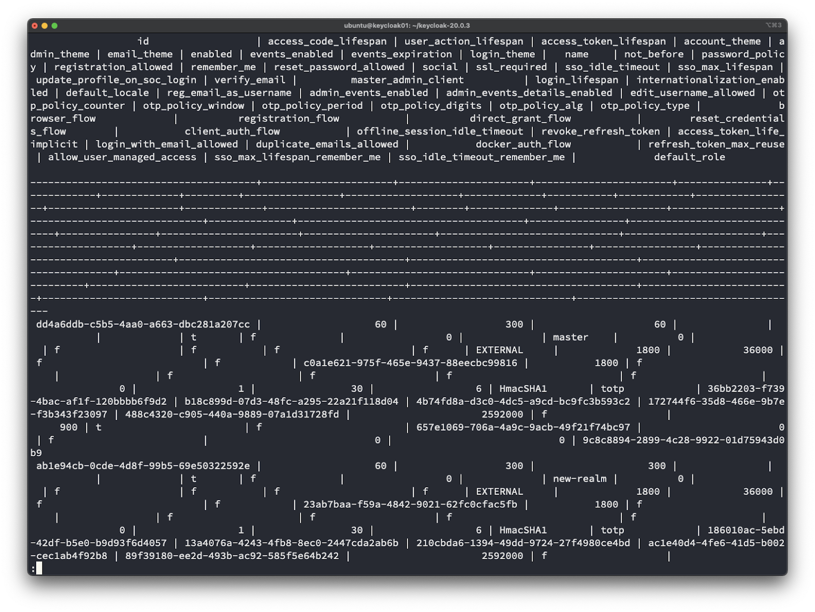 ubuntu@keycloak01: —Ikeycloak-20.O.3 
I fespan I fespan I access _ token 
dmin_theme I email _ theme I enabled I events_enabled I events_expi ration I login_theme I 
name 
y I registration _ allowed I remember_me I reset _ password _ allowed I social I ssl_requi red I sso_idle 
update_profile_on_soc_login I veri fy_email I 
I login_li fespa 
led I default _ locale I reg_email_as_username I admin_events_enabled I 
p _ policy _ counter I I I gits I I ot 
rowser_flow 
regi strati on _ flow 
di rect_grant_ flow 
I meout I revoke_refre 
s _ flow 
implicit I I duplicate _ emails _ allowed I 
docker_auth_flow 
I allow_user_managed_access I I I 
dd4a6ddb—c5b5—4aa@— 
If 
01 
a663- 
If 
dbc281a207cc I 
60 | 
300 | 
It 
If 
If 
If 
If 
Il 
07d3- 
-9889 
If 
01 
If 
I EXTERNAL 
I coale621-975f-465e-9437-88eecbc99816 1 
master 
18€ 
—4bac—af1f—12@bbbb6f9d2 1 b18c899d— 
-f3b343f23097 1 488c4320-c905-440a 
900 | t 
If 
b9 
If 
30 | 
48fc-a295-22a21f118d04 1 
-07a1d31728fd I 
01 
If 
6 | HmacSHA1 
4b74fd8a—d3cO—4dc5—a9cd—bc9fc3b59 
2592000 | f 
657e1069-706a-4a9c-9acb-49f21f74b 
0 1 9c8c8 