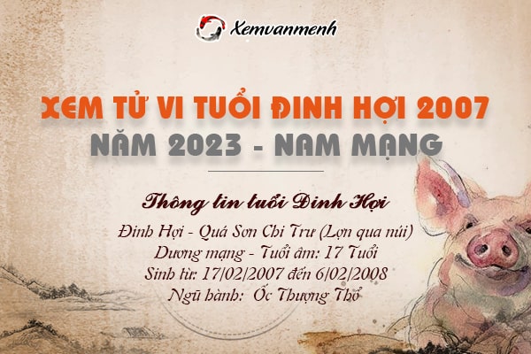 Xem bói tử vi tuổi Đinh Hợi nam mạng năm 2023 