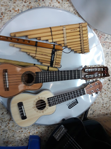 Opiniones de Almacen Musical Limel en Guayaquil - Tienda de instrumentos musicales