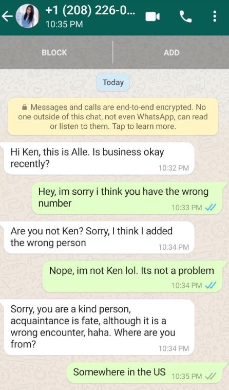 WhatsApp conversation with pig butchering scammer