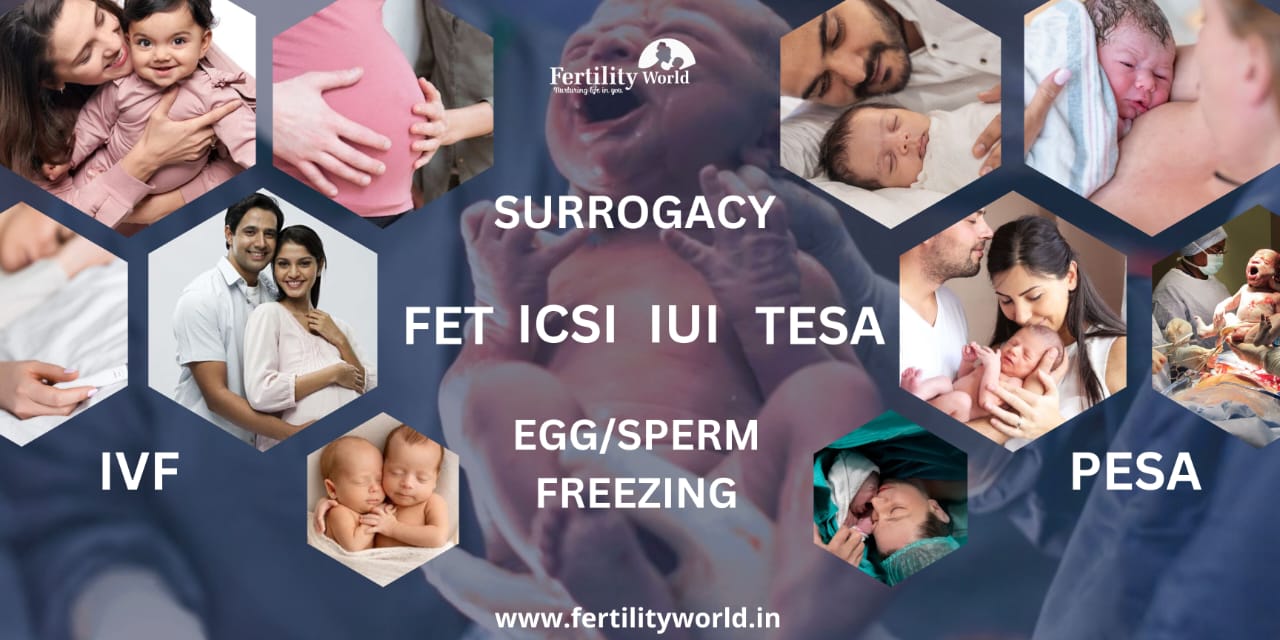 Fertility services provided by the Fertilityworld