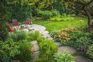 Rain gardens will add beauty and help storm-proof your property