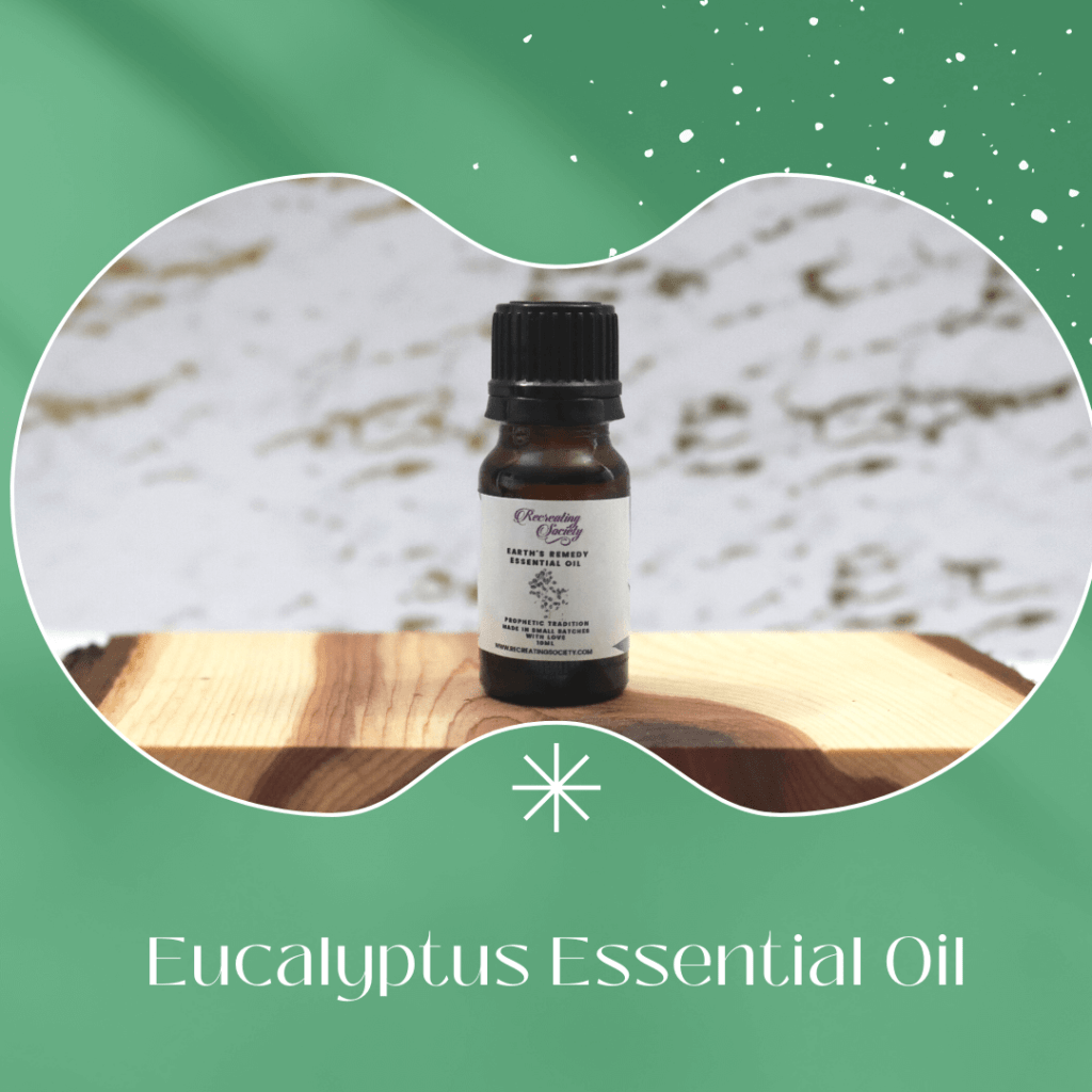 Eucalyptus Essential Oil 1 1