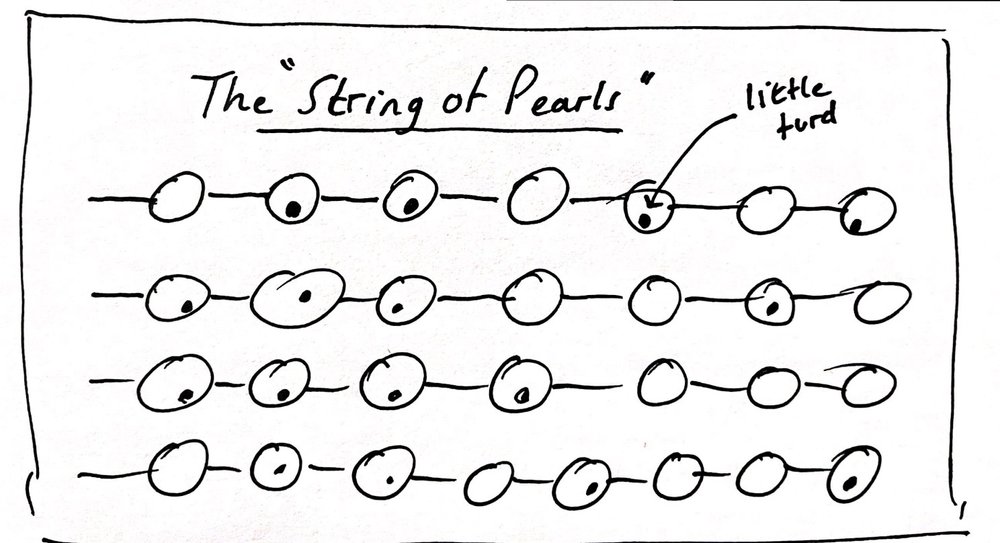 Phil Stutz's string of pearls tool