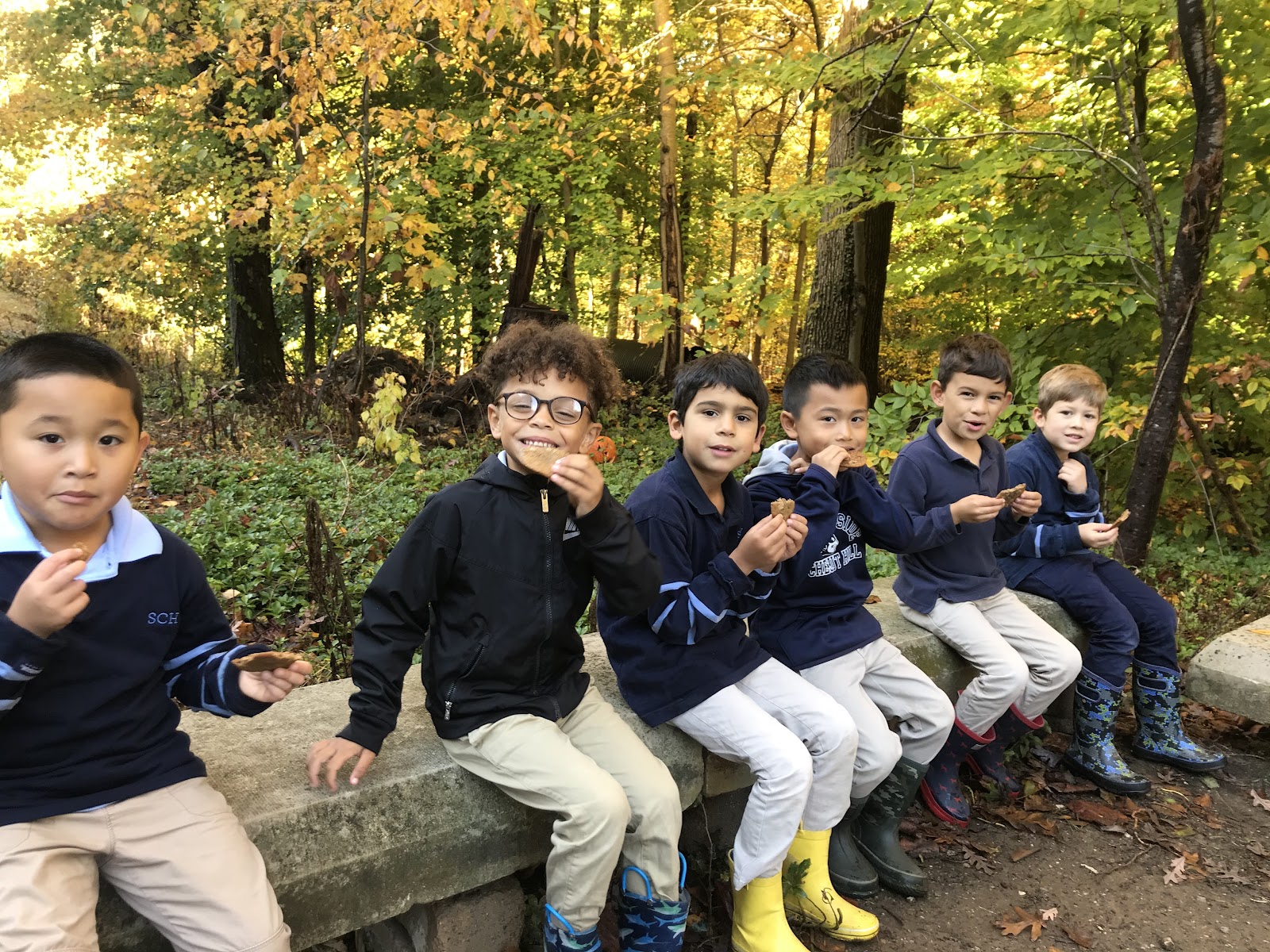 The Importance of Environmental Educations for Kids When should kids begin their environmental education? Learn about the importance of having environmental activities infused into school curriculum now!