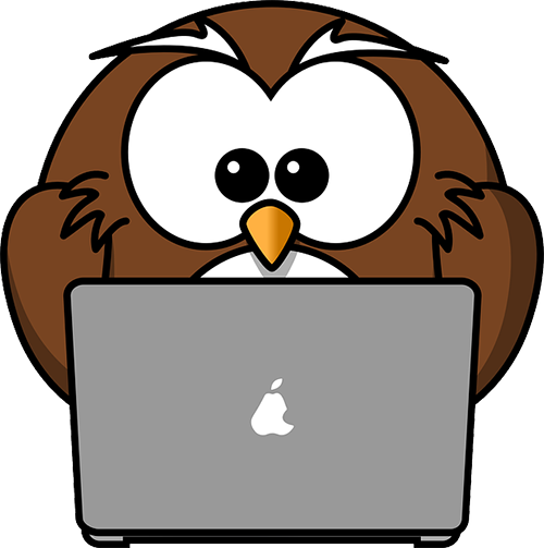 Owl using a laptop