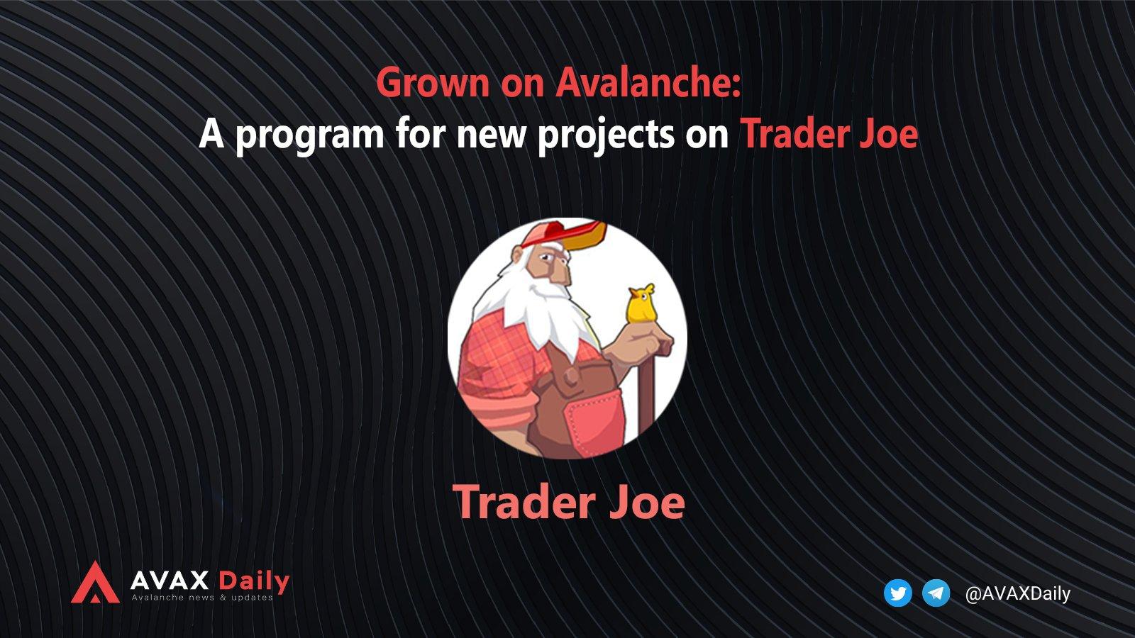 Grown On Avalance: A Program For New Projects On Trader Joe