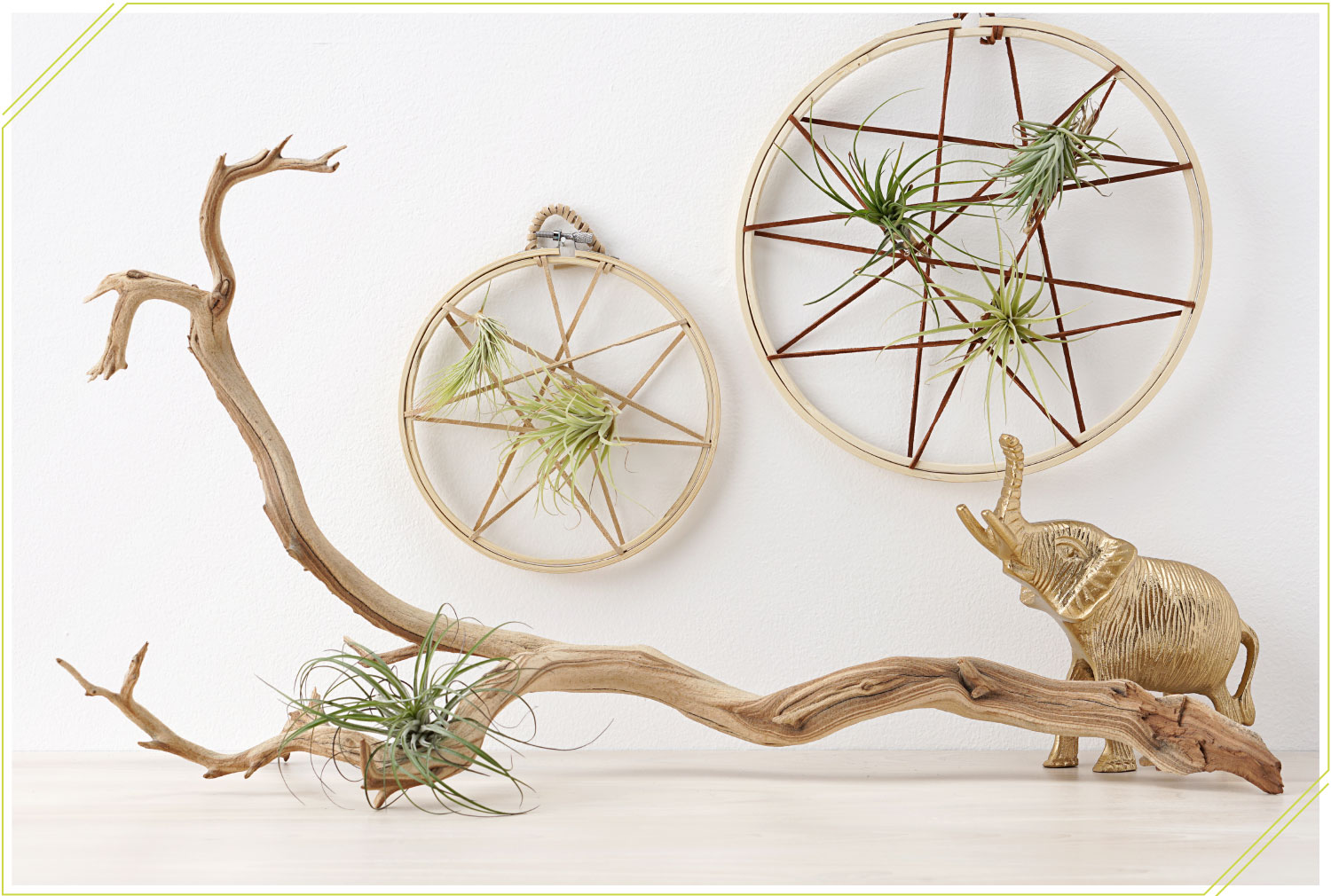 Bohemian Decor Idea: DIY Air Plant String Art. Bohemian decor diy. Bohemian decorating ideas for living room. Bohemian decor on a budget. Boho wall decor, bohemian style, decorating with air plants. 