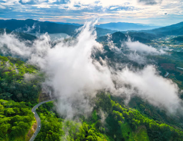 anh hoa da lat