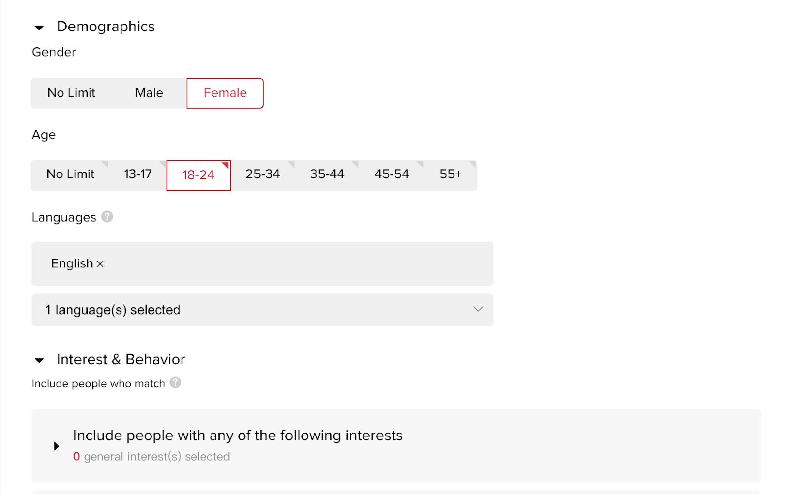 view of target audience options to display how to advertise business on TikTok