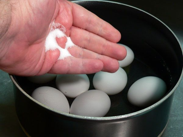 #3. Cara Merebus Telur Agar Tidak Pecah dengan Menambahkan Garam